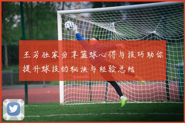 王芳独家分享篮球心得与技巧助你提升球技的秘诀与经验总结