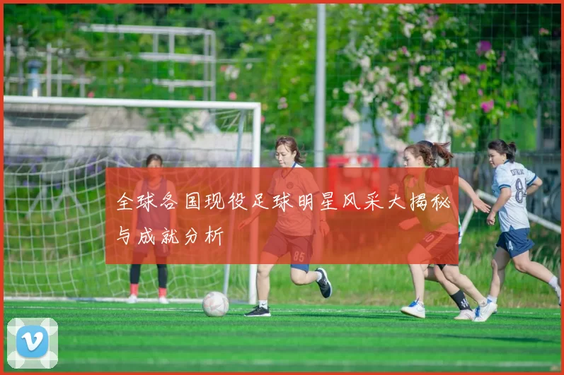 全球各国现役足球明星风采大揭秘与成就分析