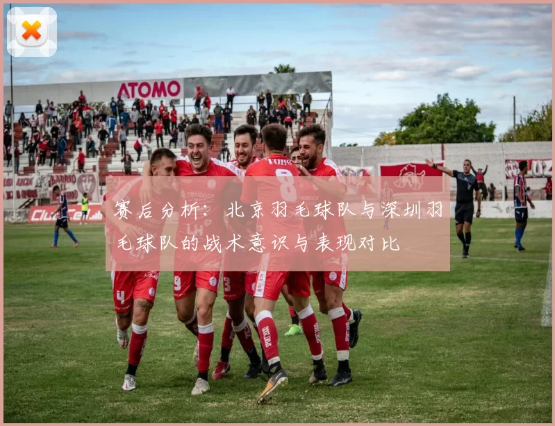 赛后分析：北京羽毛球队与深圳羽毛球队的战术意识与表现对比