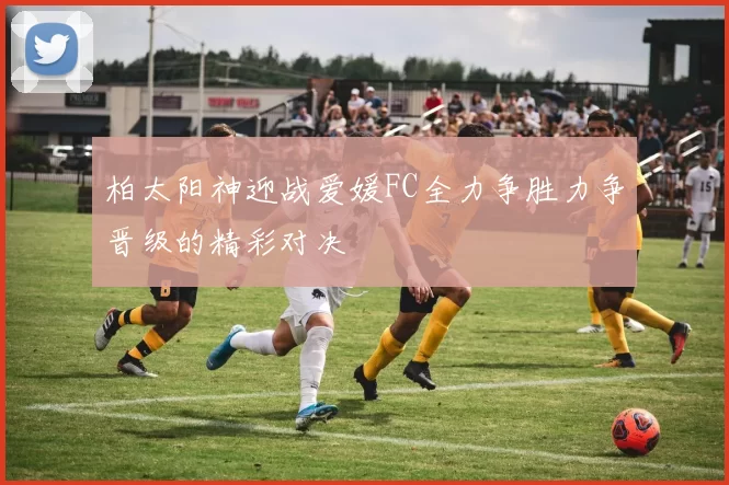 柏太阳神迎战爱媛FC全力争胜力争晋级的精彩对决