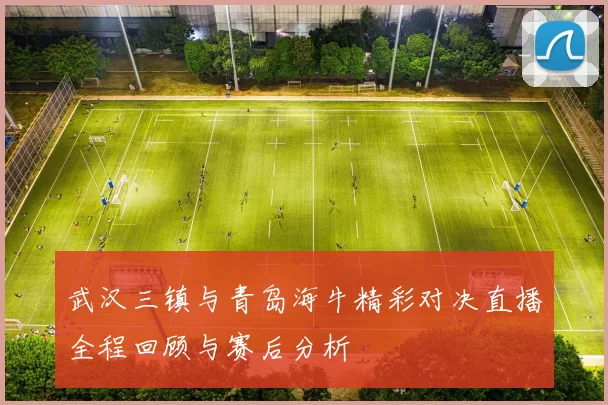 武汉三镇与青岛海牛精彩对决直播全程回顾与赛后分析