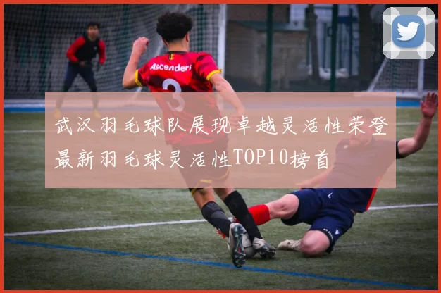 武汉羽毛球队展现卓越灵活性荣登最新羽毛球灵活性TOP10榜首