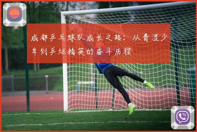 成都乒乓球队成长之路：从青涩少年到乒坛精英的奋斗历程